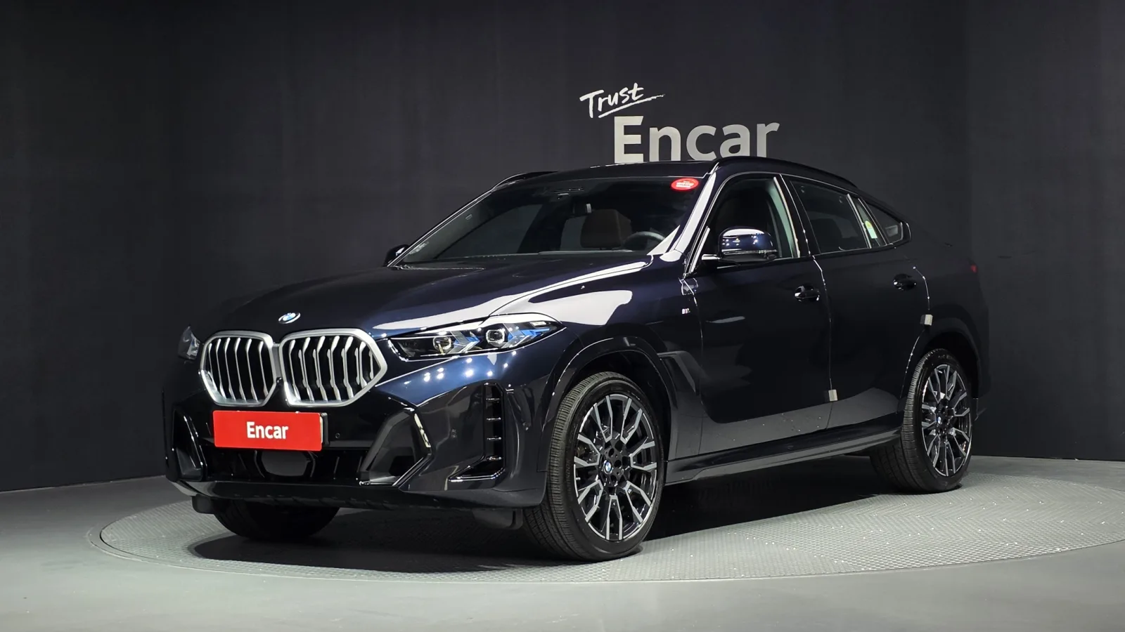 2025 BMW X6