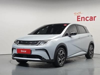 2026 BYD Dolphin