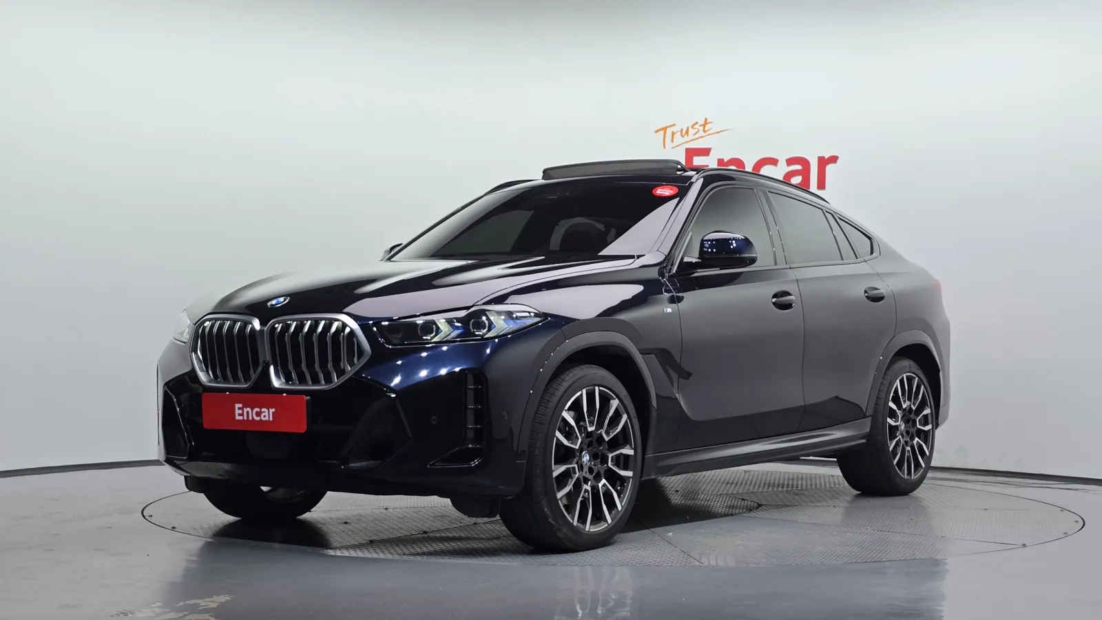2024 BMW X6
