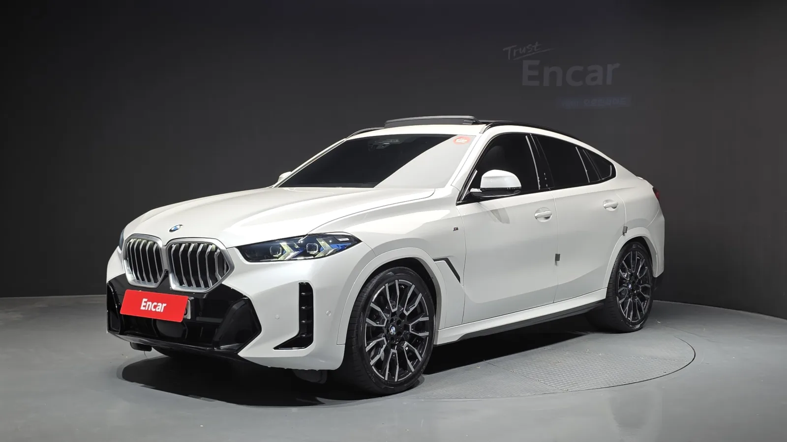 2024 BMW X6