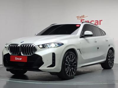 2024 BMW X6