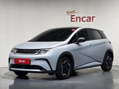2026 BYD Dolphin