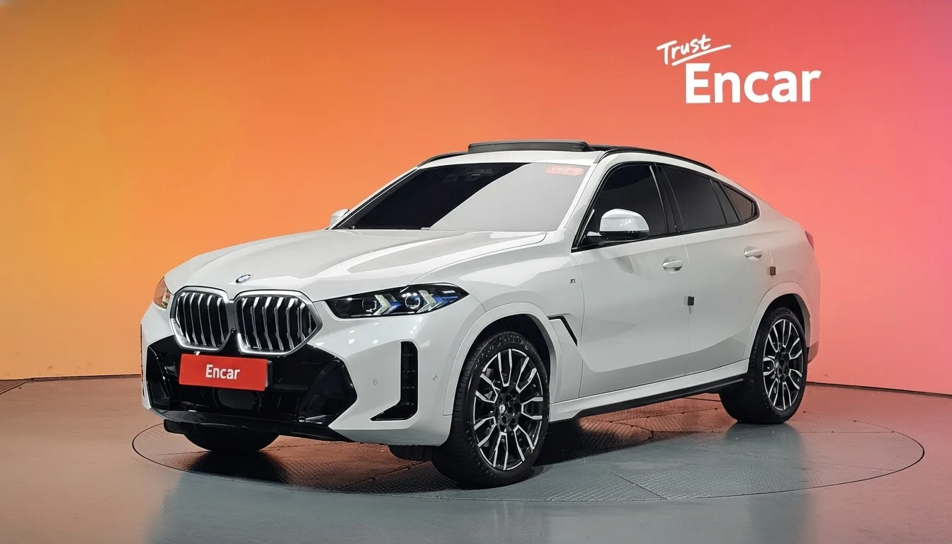 2024 BMW X6