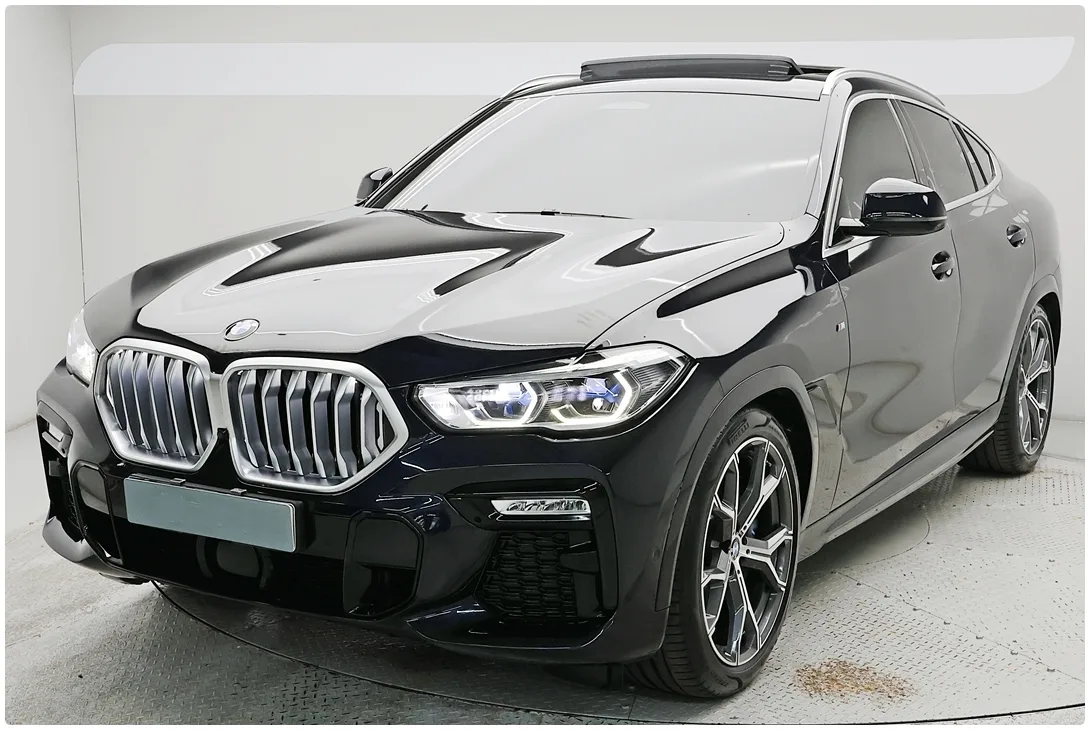 2021 BMW X6