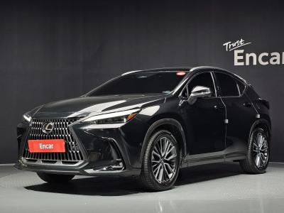 2025 Lexus NX