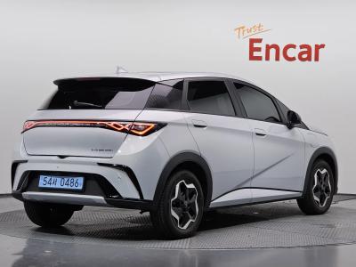 2026 BYD Dolphin