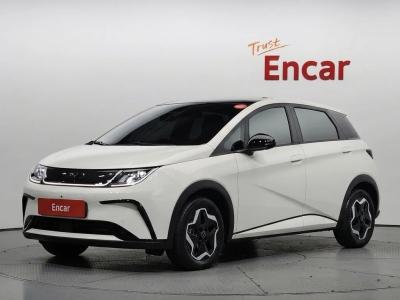 2026 BYD Dolphin