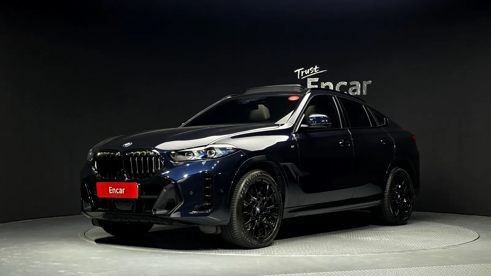 2025 BMW X6