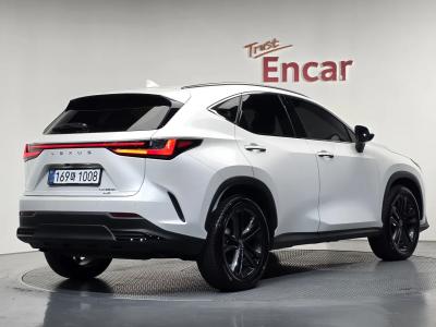 2025 Lexus NX