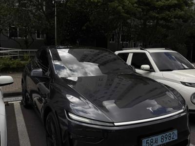 2025 Tesla Model Y
