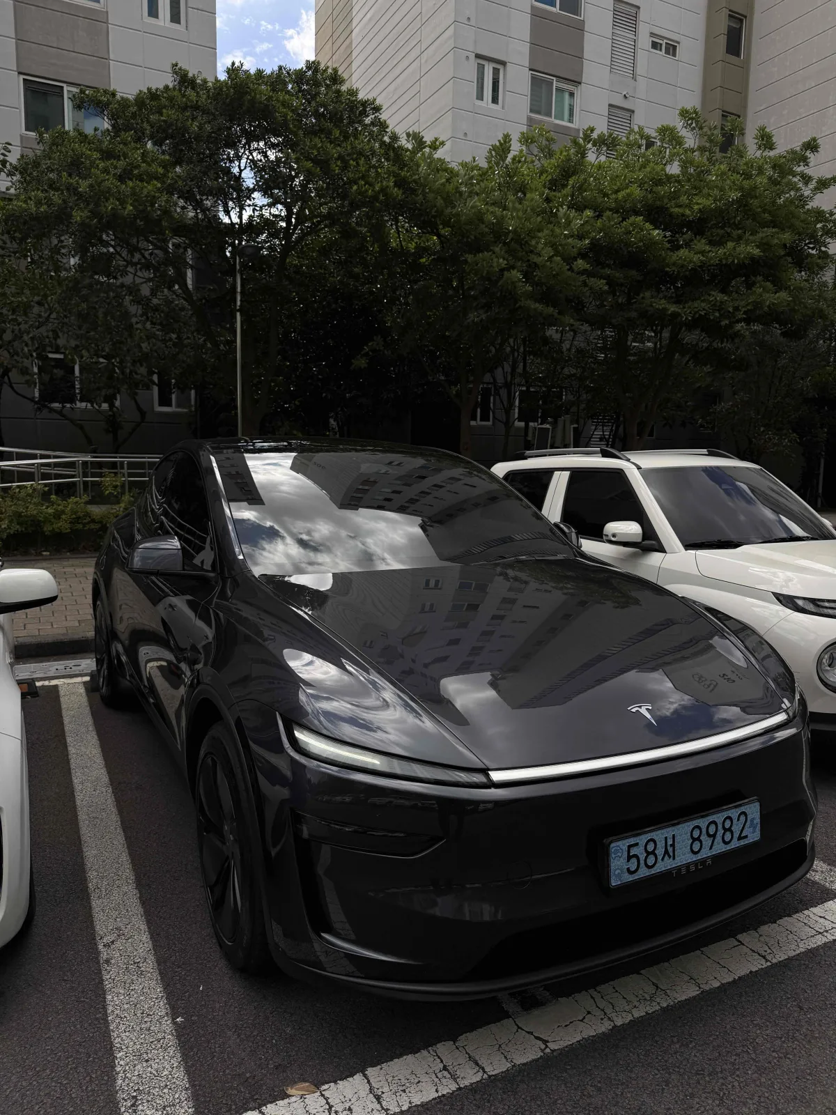 2025 Tesla Model Y