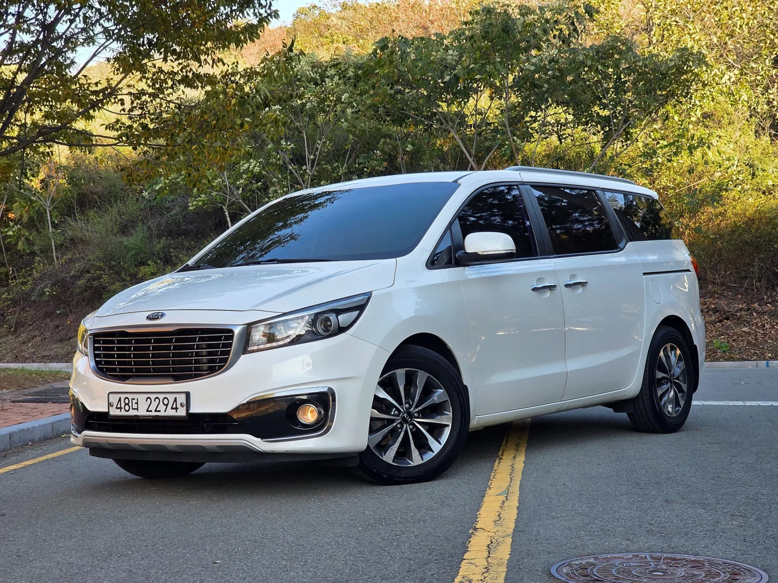 2015 Kia Carnival