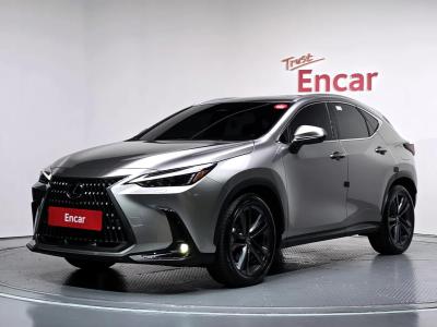 2026 Lexus NX