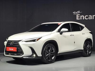 2024 Lexus NX