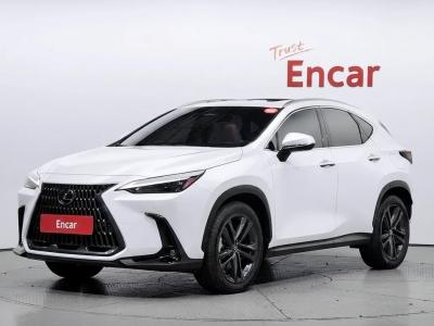 2022 Lexus NX