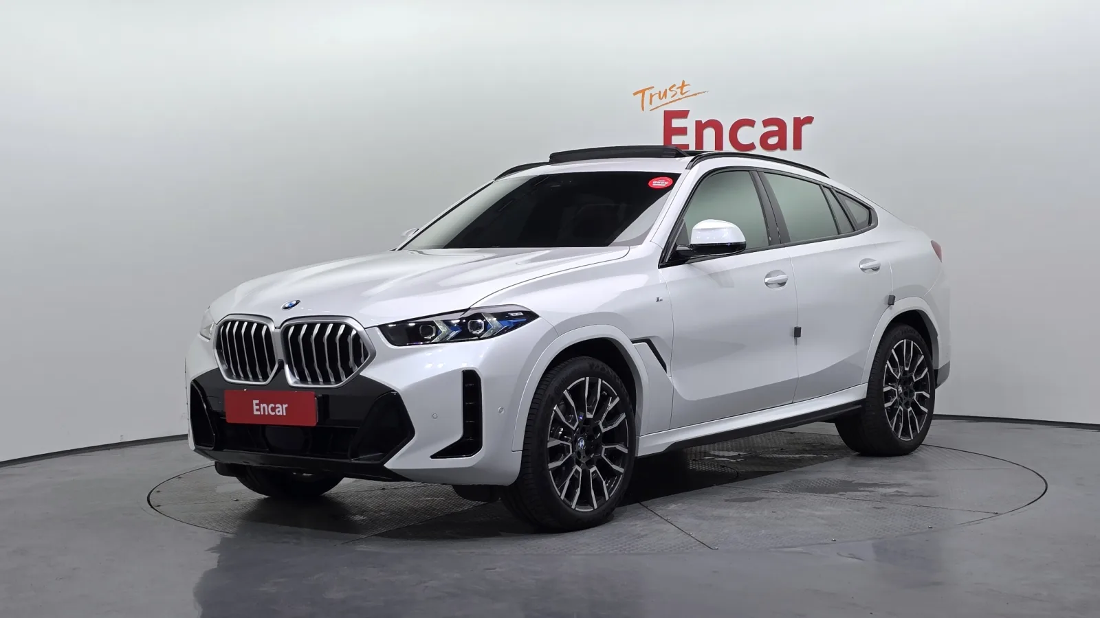 2025 BMW X6