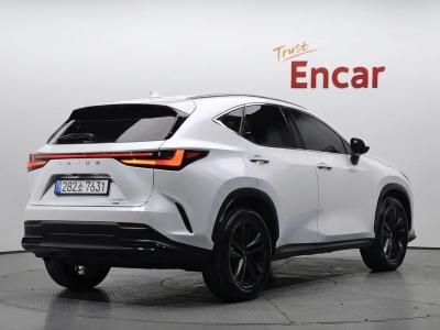 2025 Lexus NX