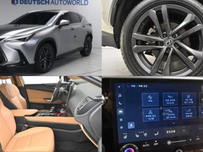 2025 Lexus NX