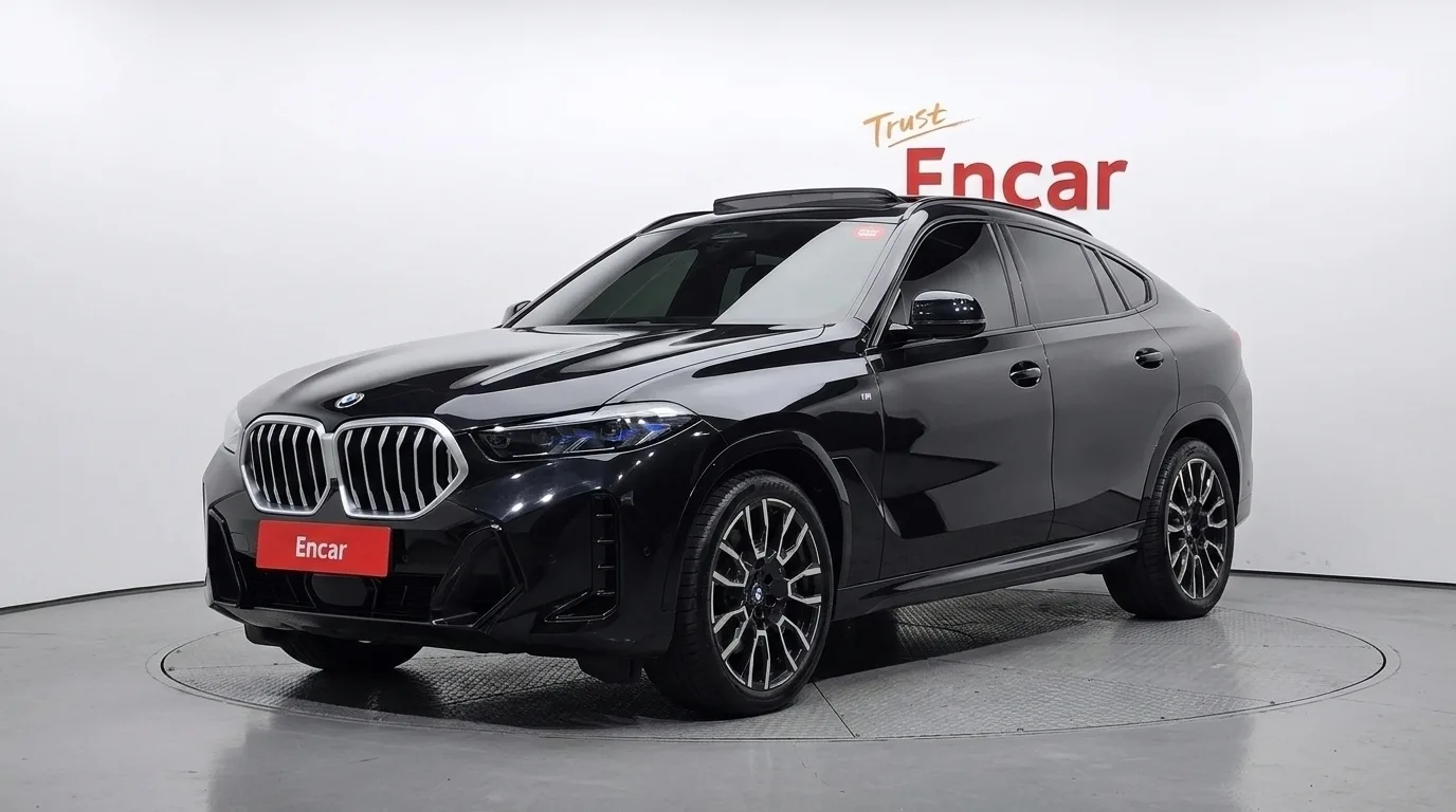 2024 BMW X6