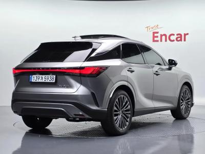 2025 Lexus RX