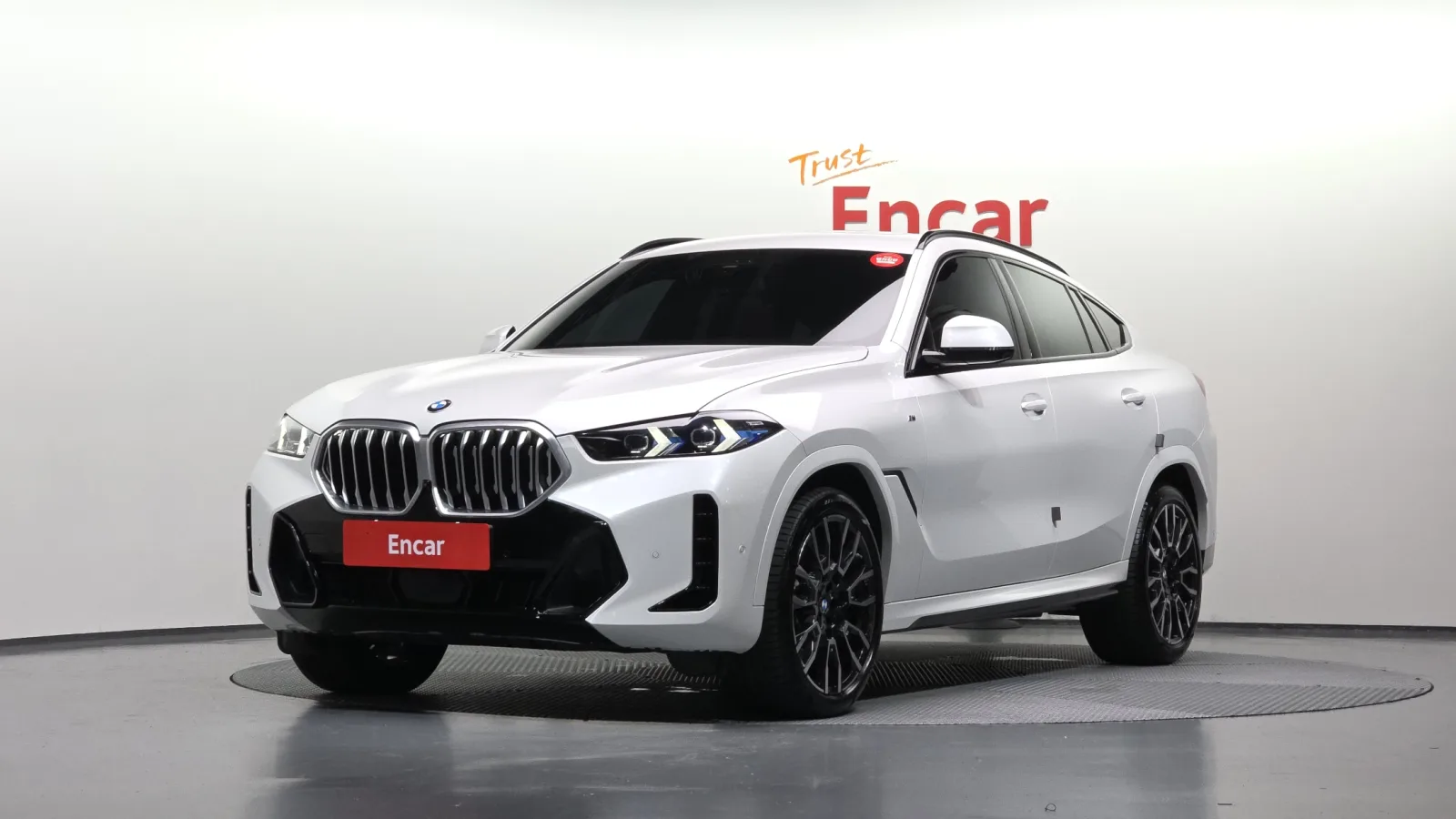 2024 BMW X6