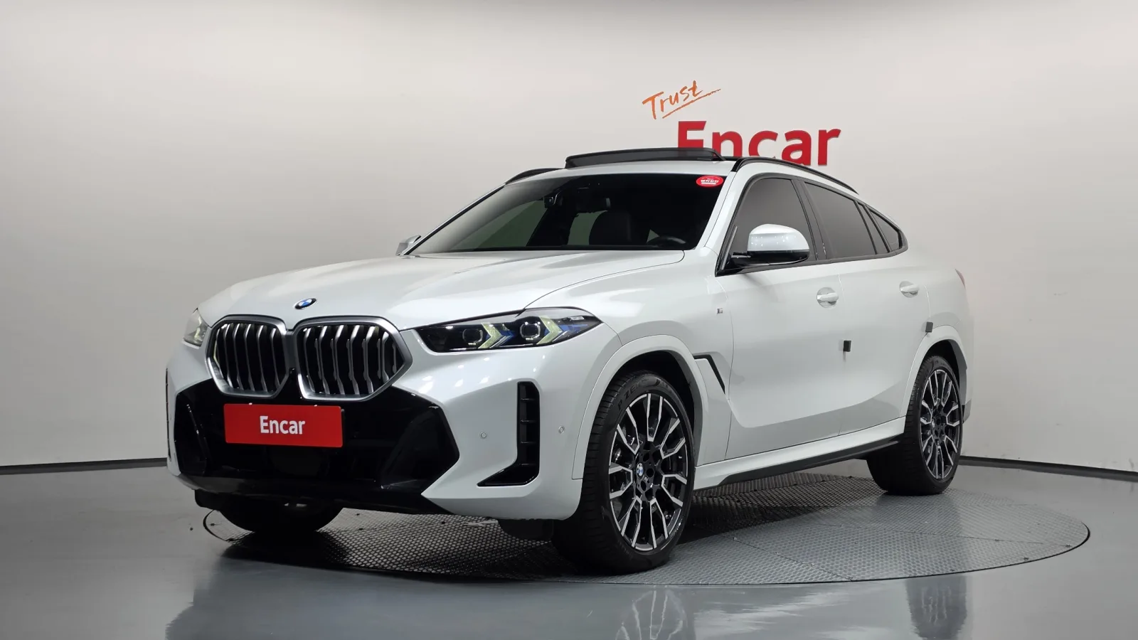 2024 BMW X6