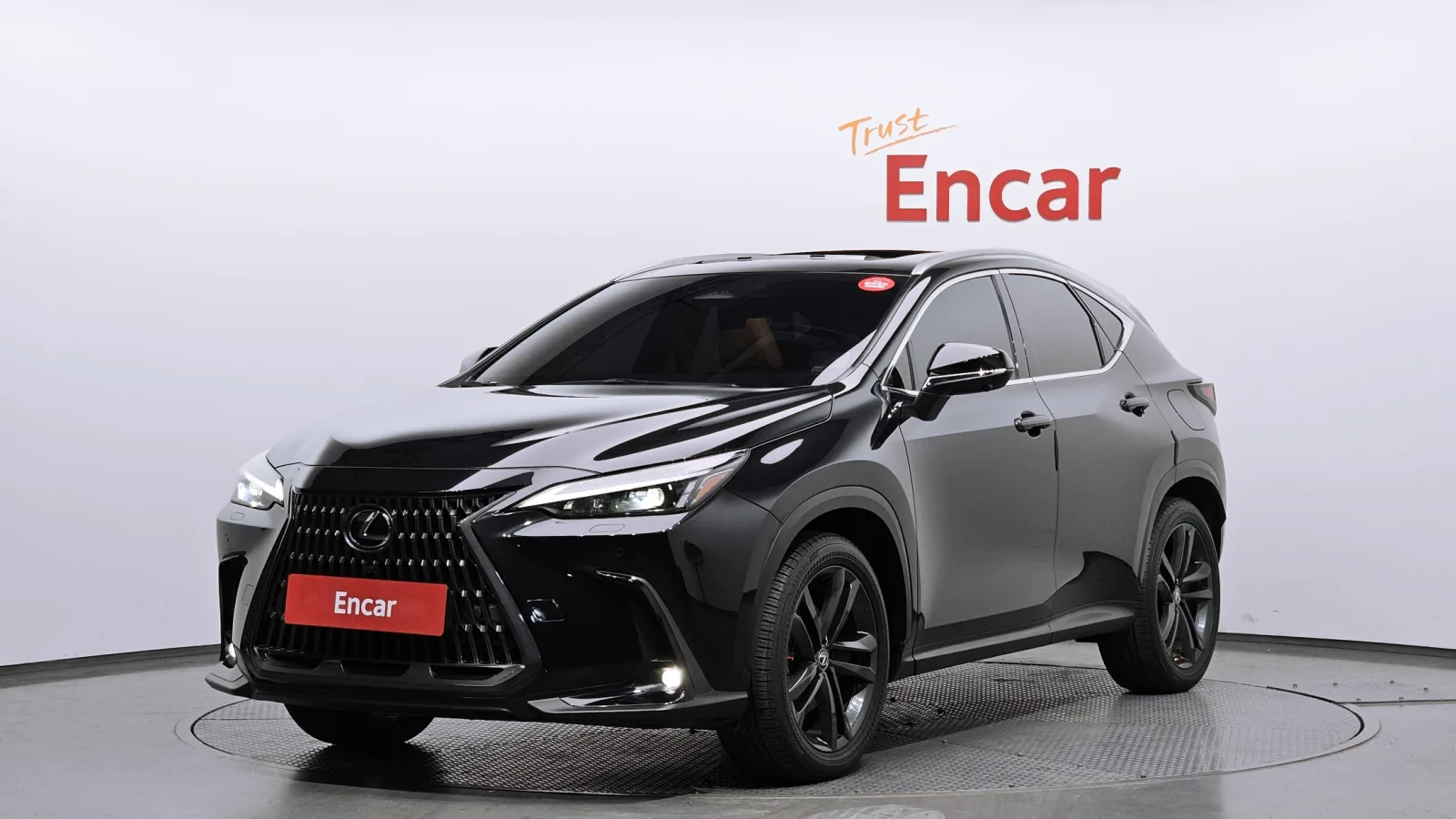 2023 Lexus NX