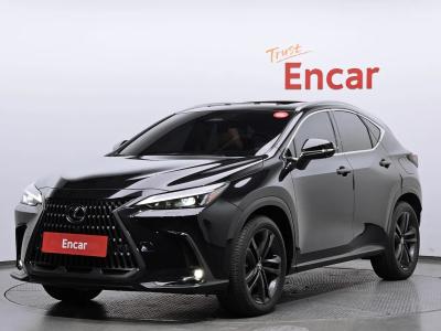 2023 Lexus NX