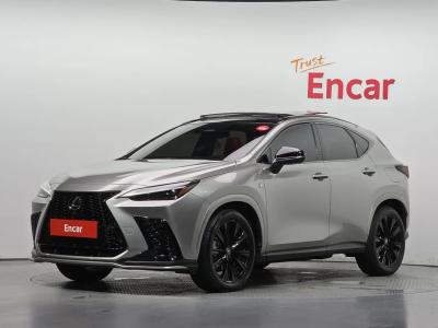 2025 Lexus NX