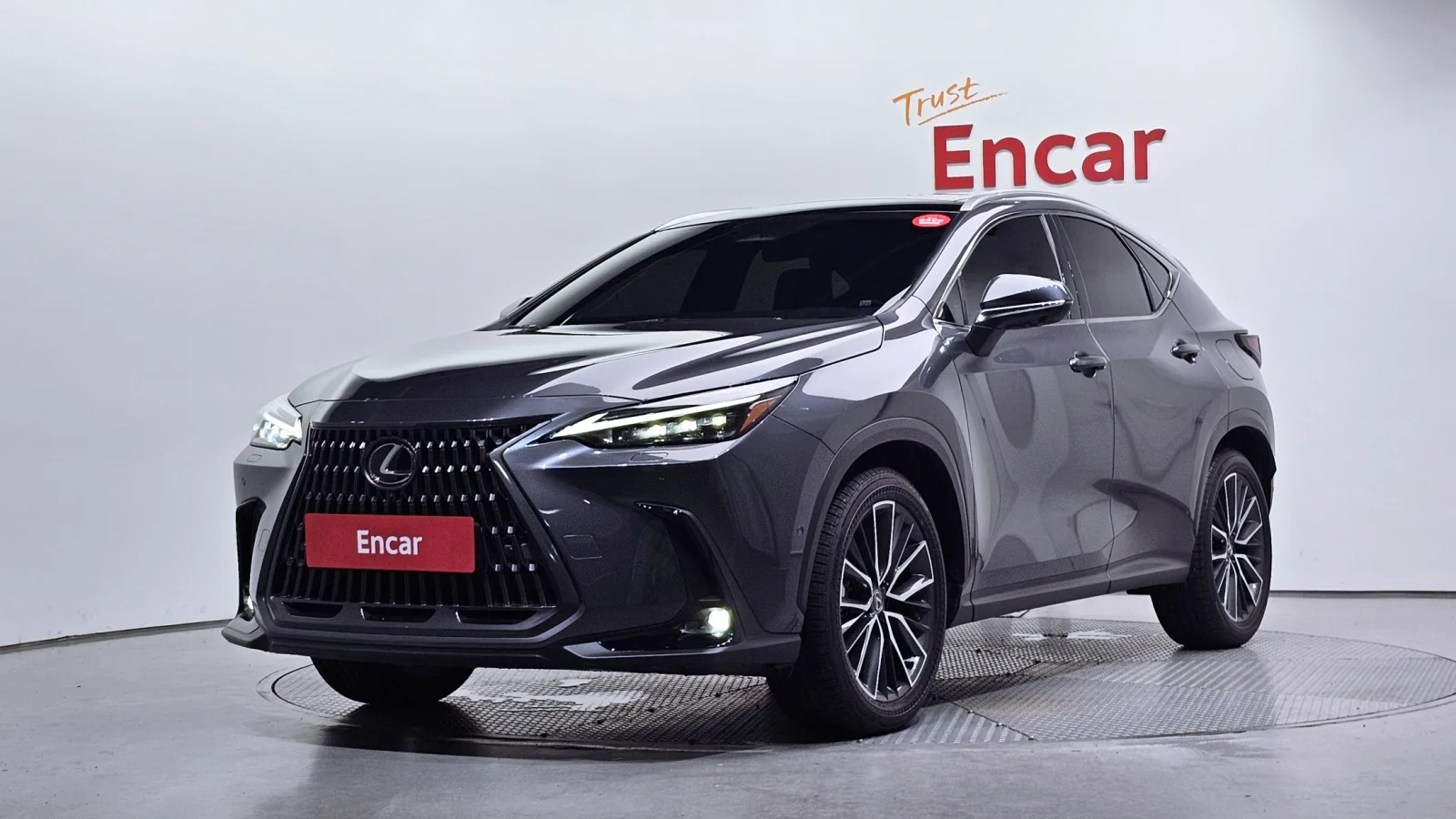 2025 Lexus NX