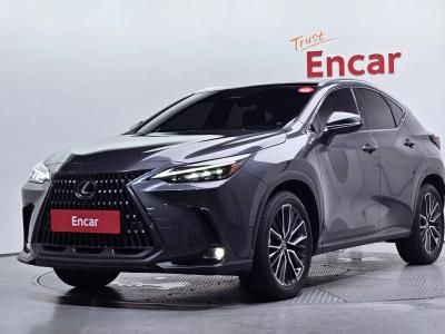2025 Lexus NX