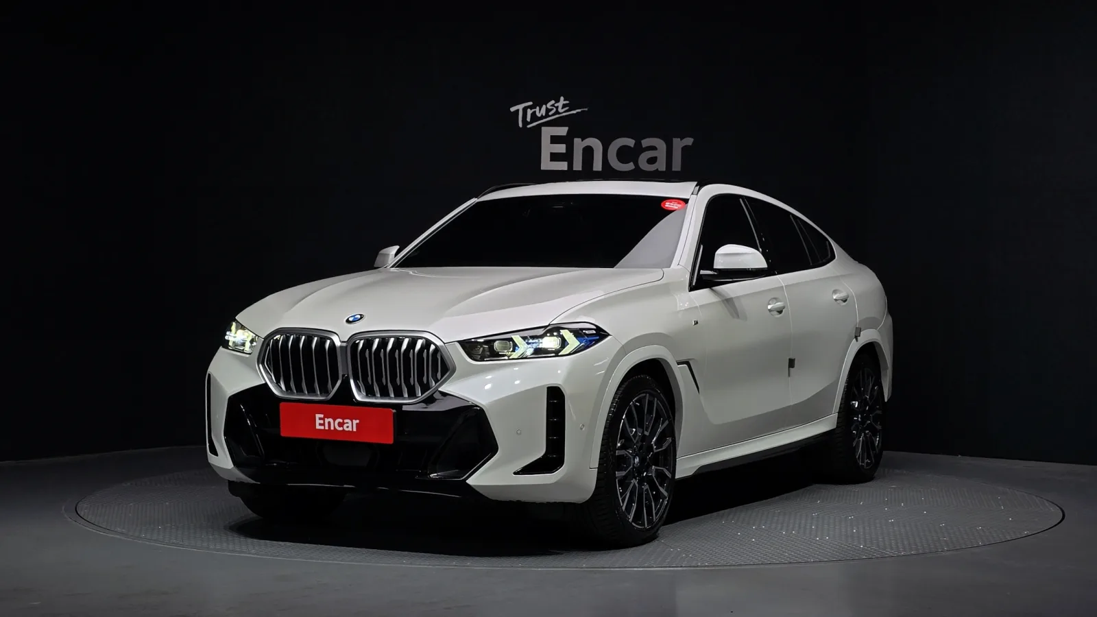 2024 BMW X6