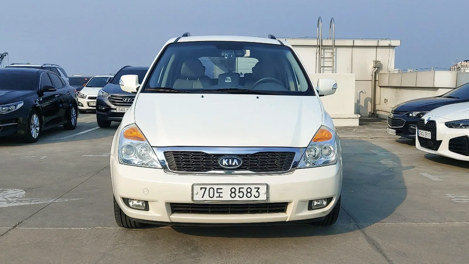 2010 Kia Carnival