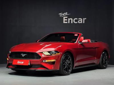 2019 Ford Mustang