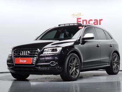 2015 Audi SQ5