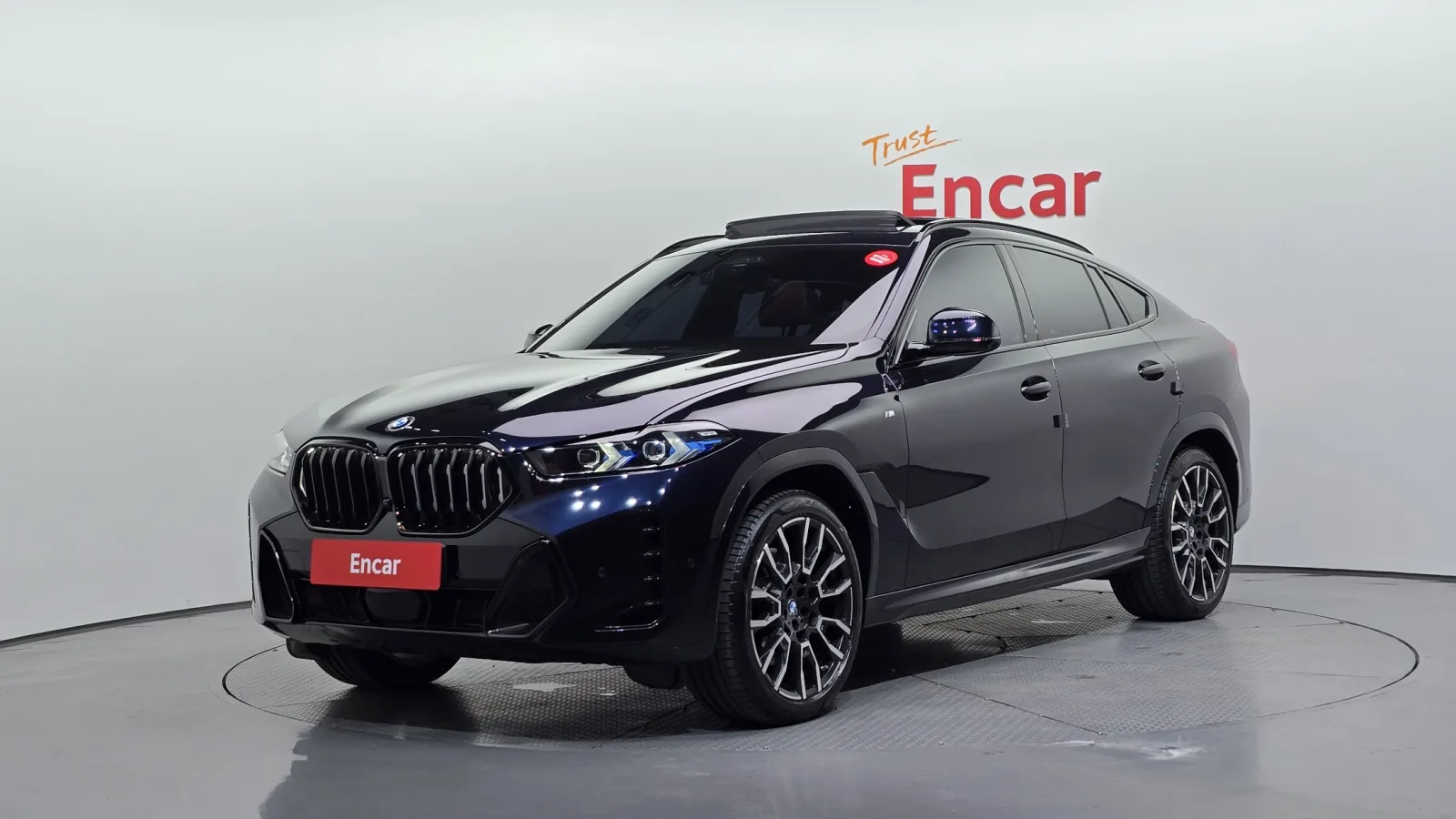 2024 BMW X6