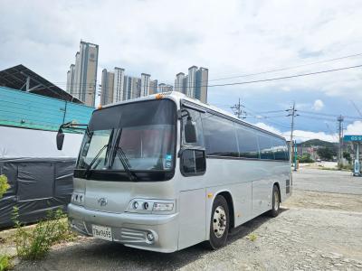 2015 Daewoo Bus Daewoo Bus-BH