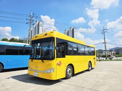 2017 Daewoo Bus Daewoo Bus-BS