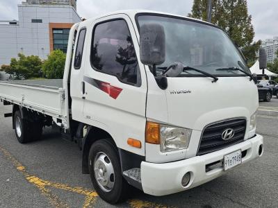 2011 Hyundai e-Mighty