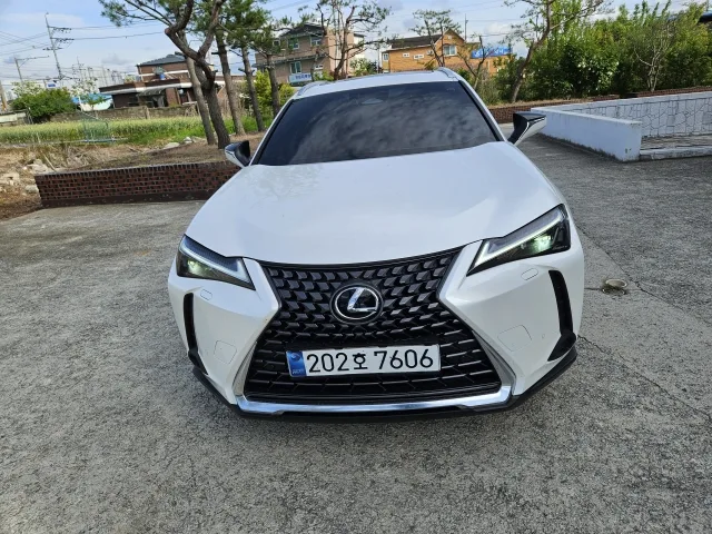 2025 Lexus UX