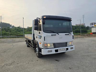 2010 Hyundai Mega Truck