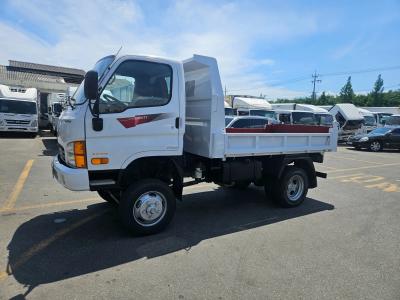 2014 Hyundai e-Mighty