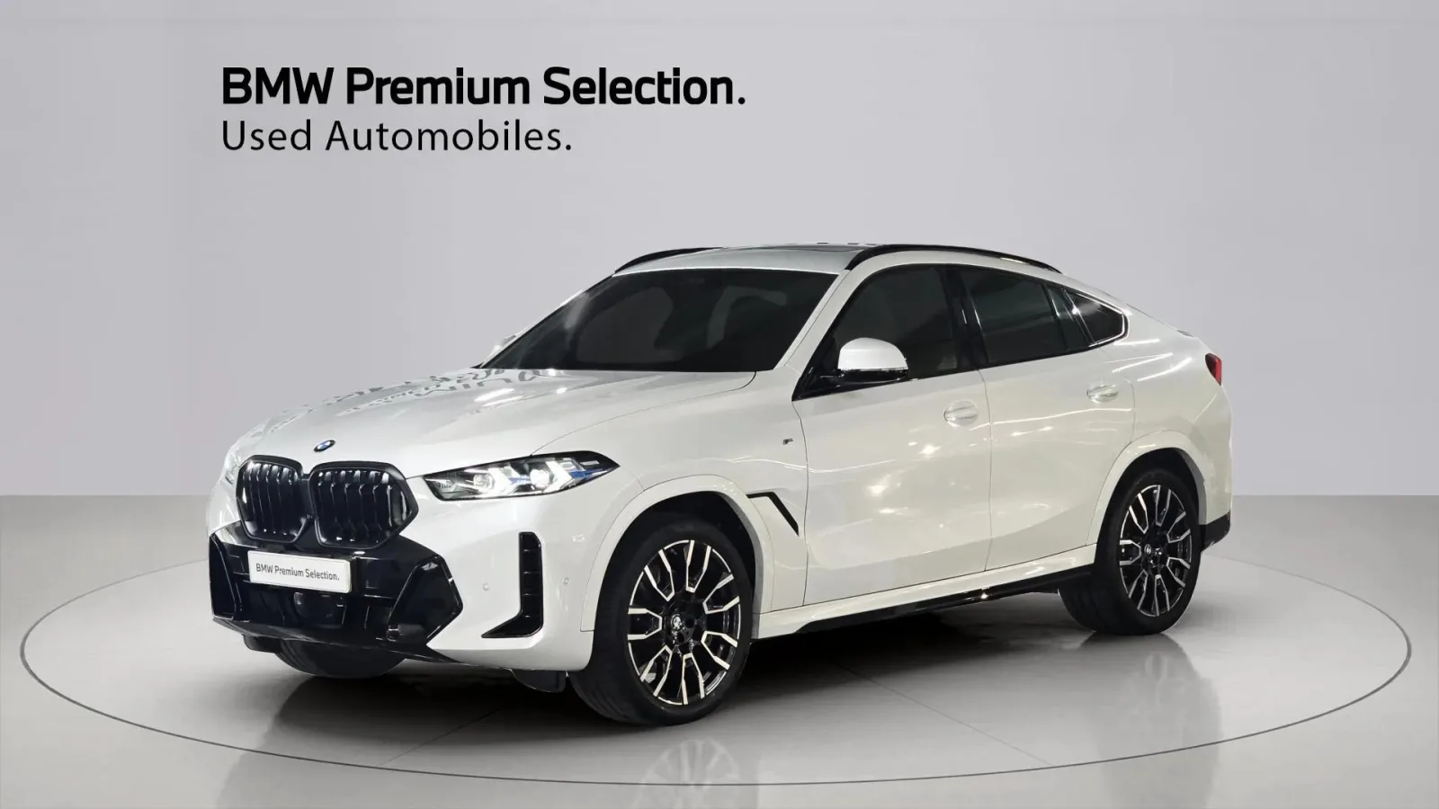 2024 BMW X6
