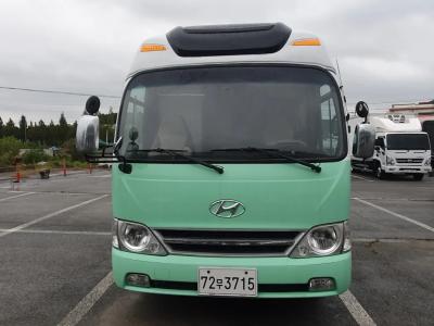 2010 Hyundai Bus Type