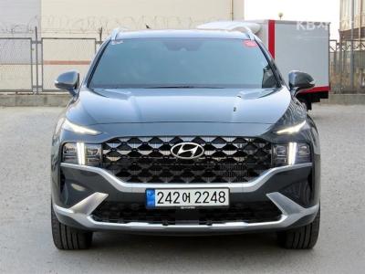 Hyundai The New Santa Fe TM 디젤 2.2 2WD 캘리그래피 (2021년형)
