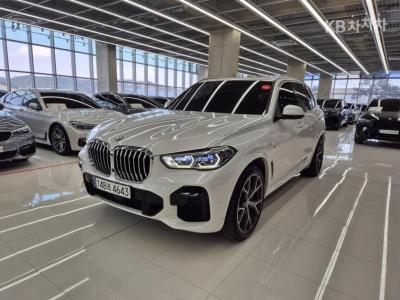 BMW X5 (G05) xDrive 40i M Sport (2023년형)