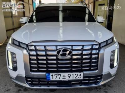 Hyundai The New Palisade 2.2 디젤 4WD 캘리그래피 (2023년형)