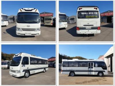 2010 Hyundai Bus Type