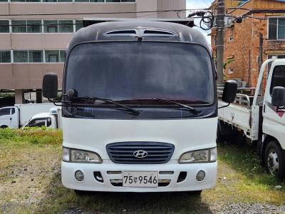 2005 Hyundai Bus Type