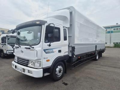 2013 Hyundai Mega Truck